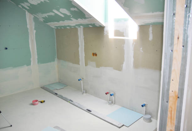 Best Mold-Related Health Consultation  in Fargo, ND