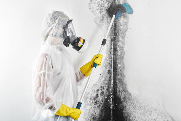 Best Post-Construction Mold Inspection  in Fargo, ND