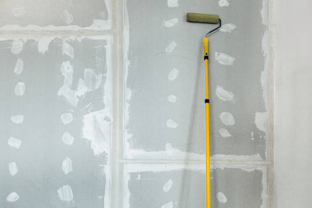 Fargo, ND Mold Removal Pros