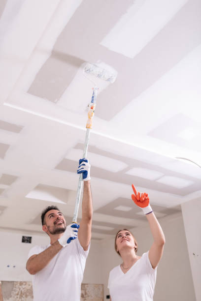 Best HVAC Mold Inspection and Cleaning  in Fargo, ND