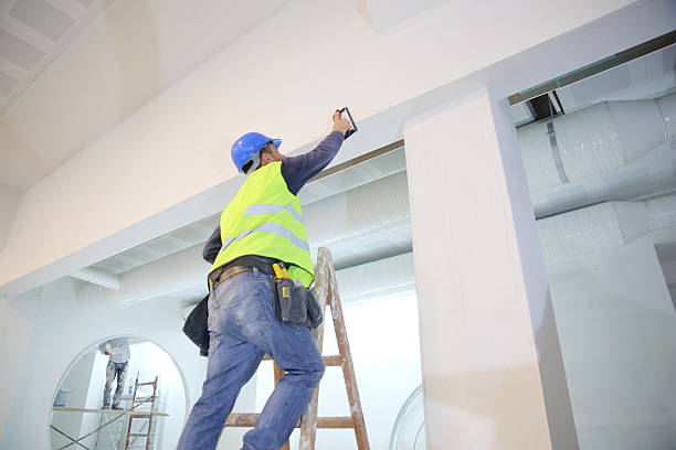 Best Mold Damage Restoration  in Fargo, ND