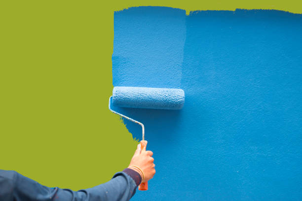 Best Emergency Mold Remediation  in Fargo, ND
