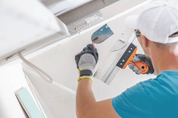 Best Basement Mold Removal  in Fargo, ND